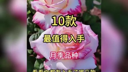 抖音带货家庭园艺种子，月销售百万级别的赛道，无需实...-课程-网盘资源分享