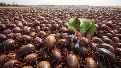 人生中第一次看到的11件事，这是什么东西？颠覆你的认知