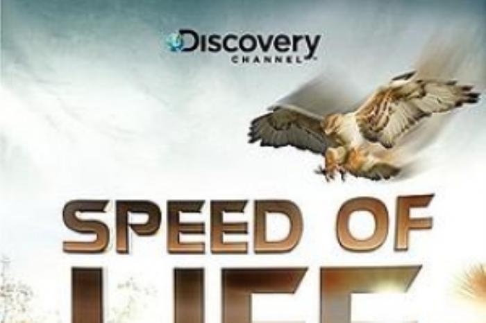 [原创][吾爱原创]剧情电影《生死速度》解说文案-[原创首发]-吾爱文案网