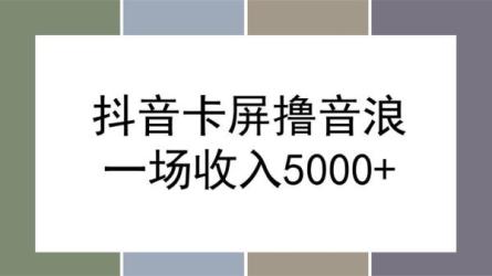 抖音暴力福袋撸音浪玩法，小白直接干，每天几百+【详细...-课程-网盘资源分享