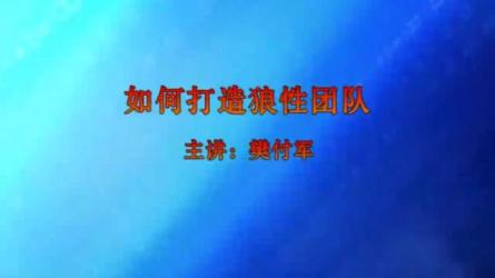 打造狼性团队全秘籍，立竿见影的提升团队管理-课程-网盘资源分享