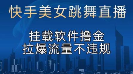 快手无人玩法教程，0粉丝也可以，无需发作品-课程-网盘资源分享