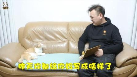 抢小猫系列5.8G：_80-课程-网盘资源分享