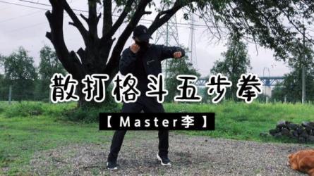 各种格斗技术视频教学（更新）收藏起来学习或训练-课程-网盘资源分享