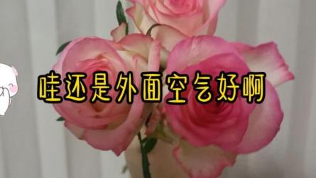 情侣见家长前夕应急手册宝典-课程-网盘资源分享