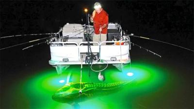 人类不该看到的东西！盘点最惊心动魄的钓鱼时刻！