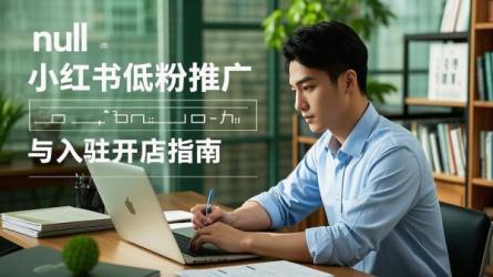 [原创]小红书没有500粉丝怎么推广？小红书怎么入驻开店？