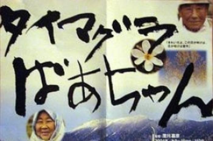 [原创][吾爱原创]喜剧恐怖片《奶奶》电影解说文案-[原创首发]-吾爱文案网