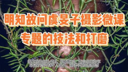 摄影专题教程96.4GB-课程-网盘资源分享