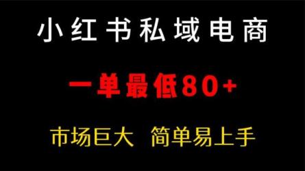 小红书电商·入门到精通开...篇+内容篇+私域篇-课程-网盘资源分享