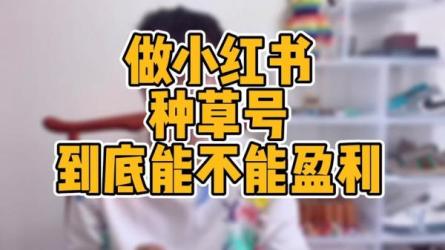 小红书流量盈利系统不出境，不露脸，轻松把流量变成米-课程-网盘资源分享