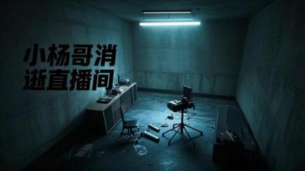 [原创]小杨哥，消逝在直播间！