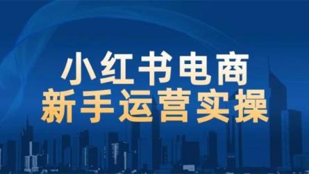 小红书电商运营小白实操课-课程-网盘资源分享