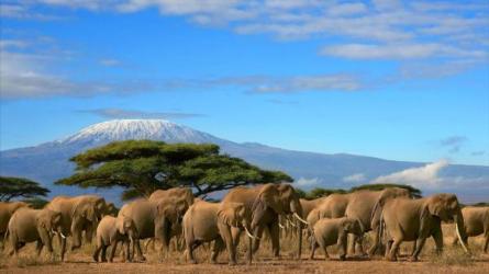 国家地理系列纪录片（60部）-课程-网盘资源分享