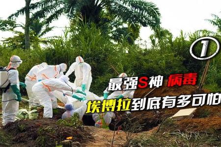 [文]动画电影《埃博拉病毒》影评 观后感 解说文案