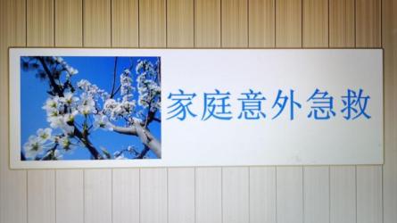 图解家庭急救大全电子.书籍-课程-网盘资源分享