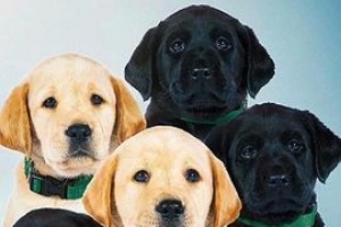 [原创][吾爱原创]剧情电影《抉择》解说文案-[原创首发]-吾爱文案网