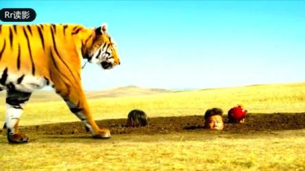 影视大咖教你混剪思维与操作：选剧选题材选场景选爆...-课程-网盘资源分享