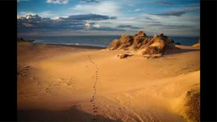 哈佛心智训练课PPT模板500套轻松战胜拖延症-课程-网盘资源分享