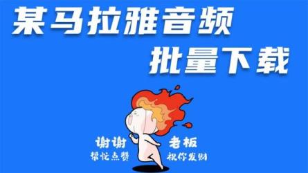 喜M拉雅收费音频合集重新制作版【免下载.转存即听】大小...-课程-网盘资源分享