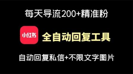 小红书导流变现营，一线实操实战团队总结，真正实战，...-课程-网盘资源分享