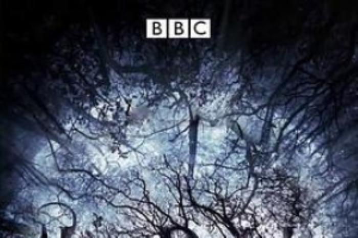 [原创][吾爱原创]恐怖《黑暗中的吟唱》电影解说文案-[原创首发]-吾爱文案网