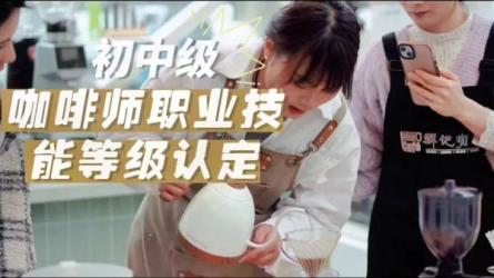 咖啡师学习资料及教程-课程-网盘资源分享