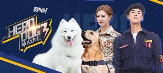 《神犬小七3》_第1集_分集剧情