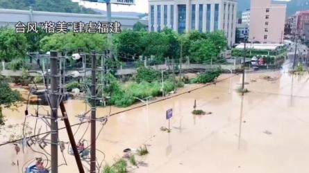 台风AI自媒体变现训练营-课程-网盘资源分享