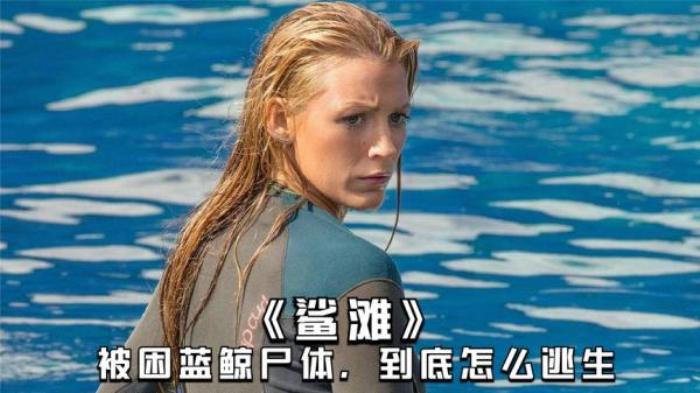 五分钟看《鲨摊》，女子被怪物困在蓝鲸尸体上，她该如何绝地逢生电影解说文案-[原创首发]-吾爱文案网