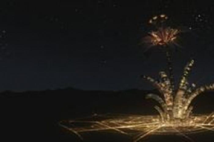 [原创][吾爱原创]剧情电影《百合》解说文案 解说素材-[原创首发]-吾爱文案网