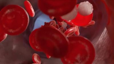 人们在沙漠中的恐怖发现