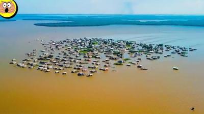 他们在南美发现的东西震惊了整个世界