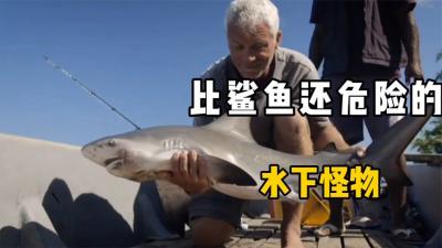 河中巨怪：能同时生存在淡水和咸水中的可怕怪物,村民水深火热！-原创解说文案