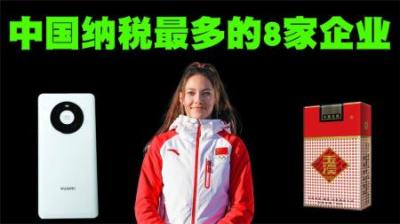 中国纳税最多的8家企业排行榜，许家印三次投篮都未投中！-原创解说文案