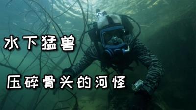 河中巨怪：能将人骨头挤碎的水下巨型猛兽！让杰叔都惧怕三分！-原创解说文案