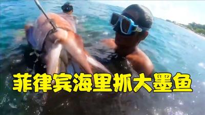 菲律宾捕鱼的神仙体验，10斤重大墨鱼随便抓，一下午就能搞一桶-吾爱原创解说文案