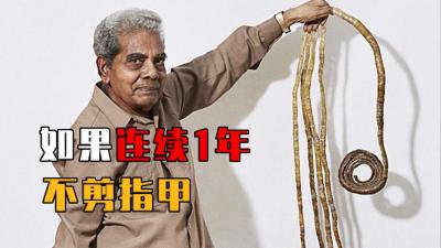 如果一个人1年连续不剪指甲，会发生什么？没有指纹犯罪会被抓吗-吾爱原创解说文案