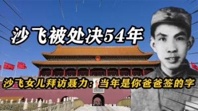 [视]沙飞被枪决54年后，沙飞女儿拜访聂力：最后是你爸爸同意签的字-原创解说文案