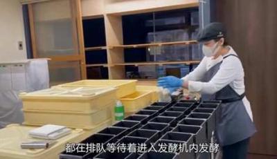 第3集丨日本人一个人也可以开面包店，竟然是这样做的dou来安利纪录片面包制作方法面包店-原创解说文案