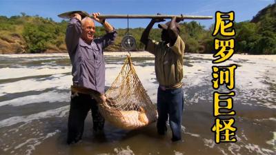 河中巨怪：东非大裂谷的神龙传说，竟然是多个凶猛动物的组合体！-吾爱原创解说文案