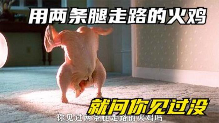 《恐怖幽灵》小伙拥有阴阳眼，还养了几只阿飘到处行骗，结局亮了-吾爱原创解说文案-[原创首发]-吾爱文案网