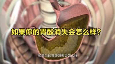 如果你的胃酸消失会怎么样？-原创解说文案