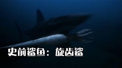 河中巨怪：嘴巴里面长着电锯的史前鲨鱼，被人们称为旋齿鲨！-原创解说文案