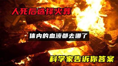 人死后选择火葬，尸体体内的血液都去哪了？科学家告诉你答案-原创解说文案
