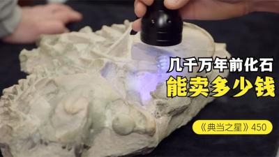 一个几千万年前的化石，能在当铺价值多少钱，顾客大喊吃相太难看-吾爱原创解说文案