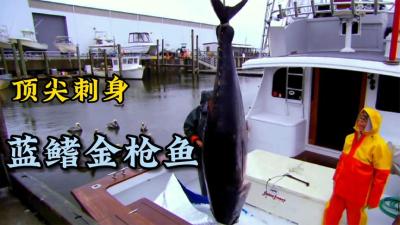 捕鱼生死斗：渔民出海一趟就能捕获到一条价值10元的蓝鳍金枪鱼！-吾爱原创解说文案