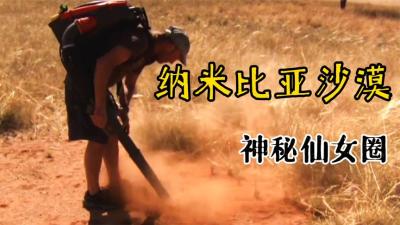 自然档案：大沙漠中惊现密密麻麻的小圆圈，圈中的土壤寸草不生！-吾爱原创解说文案