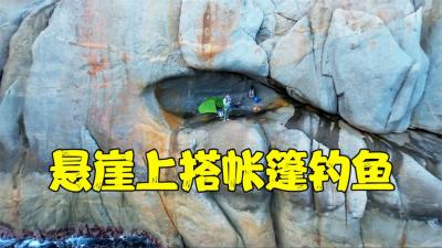 加拿大的钓鱼天才，悬崖之下搭帐篷钓鱼，一下午钓十几条大鲷鱼-原创解说文案