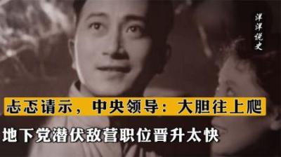 [视]地下党潜伏敌营职位晋升太快，忐忑请示，中央领导：大胆往上爬-原创解说文案